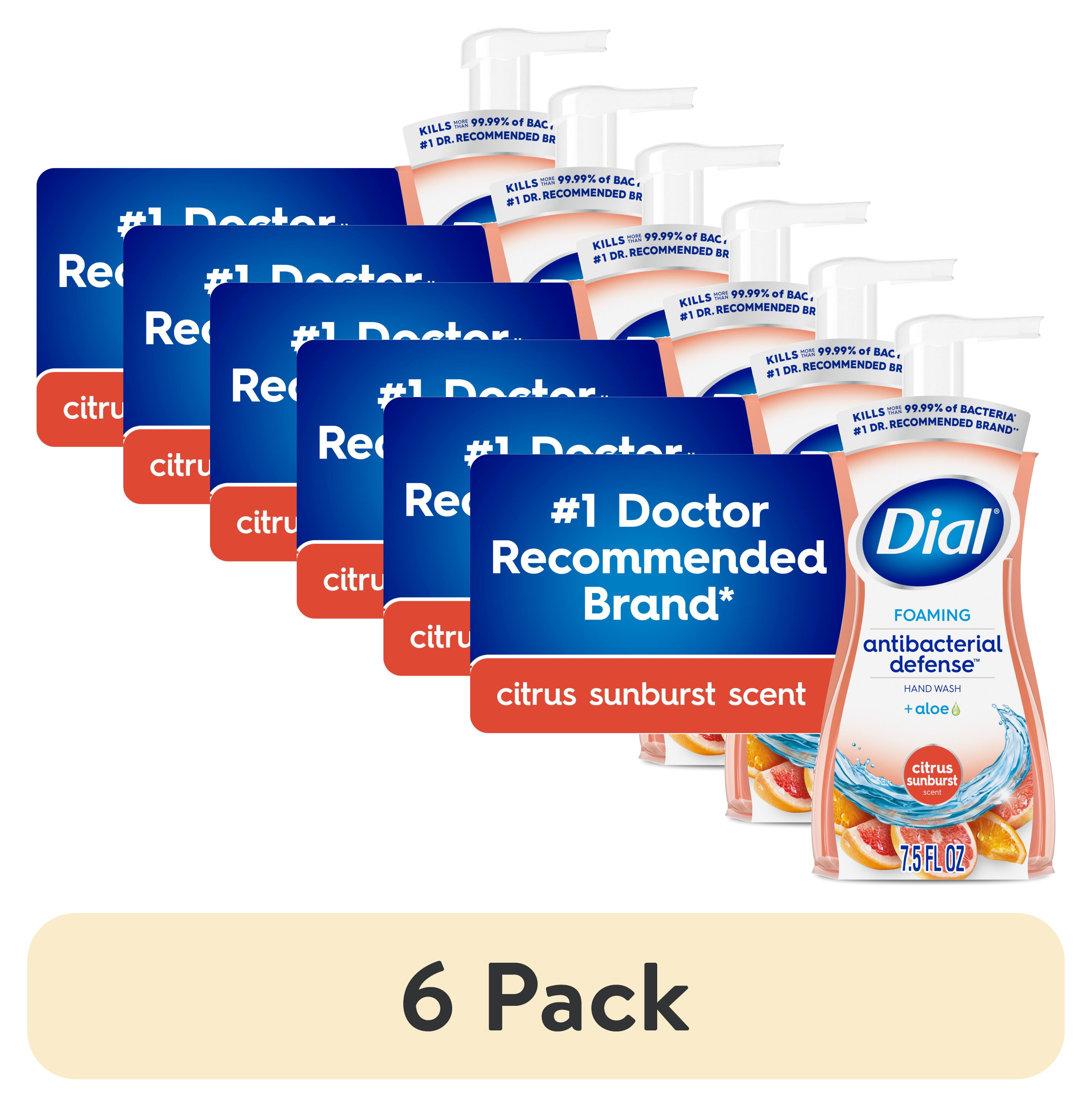 (6 pack) Dial Antibacterial Defense Citrus Sunburst Scent Foaming Hand Soap, 7.5 fl oz