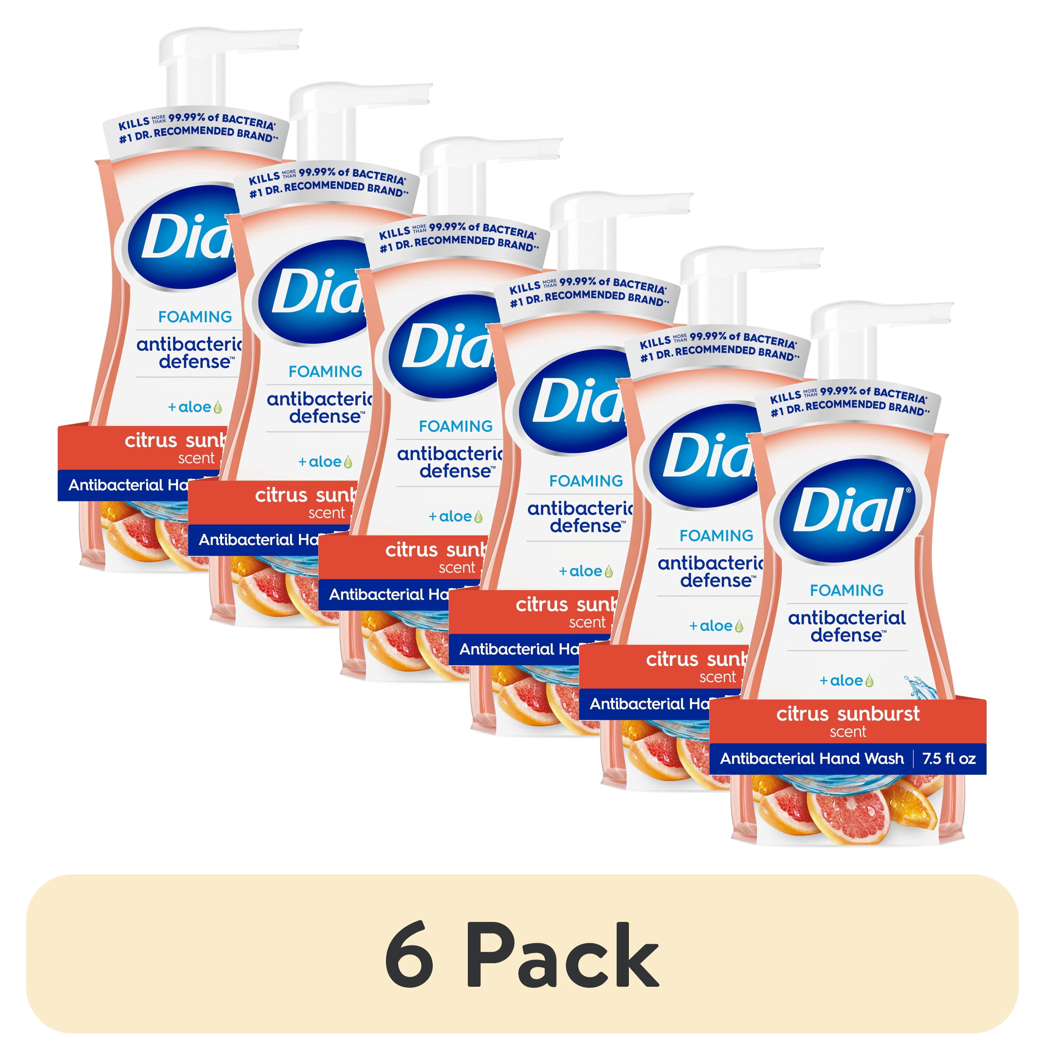 (6 pack) Dial Antibacterial Defense Citrus Sunburst Scent Foaming Hand Soap, 7.5 fl oz