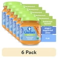 thumbnail image 1 of (6 pack) Gerber 1st Foods Organic for Baby Baby Food, Butternut Squash, 4 oz Jar, 1 of 17