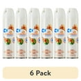 thumbnail image 1 of (6 pack) Great Value Aerosol Air Freshener, Hawaiian, 1 of 7