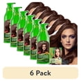 thumbnail image 1 of (6 pack) Herbishh Chestnut Brown Hair Dye Shampoo 500ml, Color Shampoo for Grey Hair, 3-in-1 Natural Hair Dye, Ammonia-Free Formula, Hair Color for Women & Men, 1 of 8