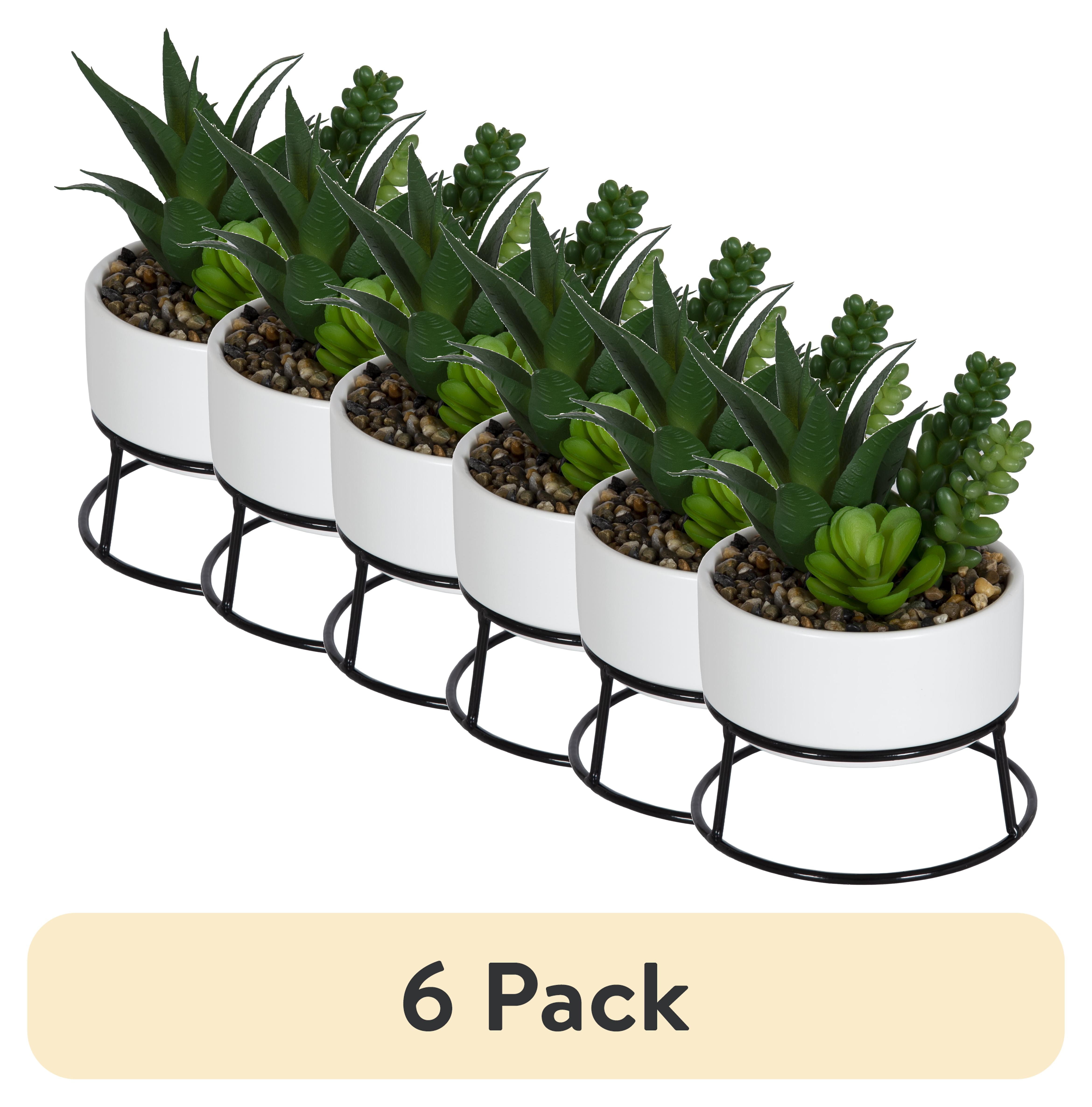 (6 pack) Mainstays 6.5 in Artificial Agave and Sedum Succulents in Ceramic Planter, Multicolor