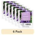 thumbnail image 1 of (6 pack) Mainstays 6 Cube Wax Melts, Lilac Breeze, 1.25 oz, 1 of 6