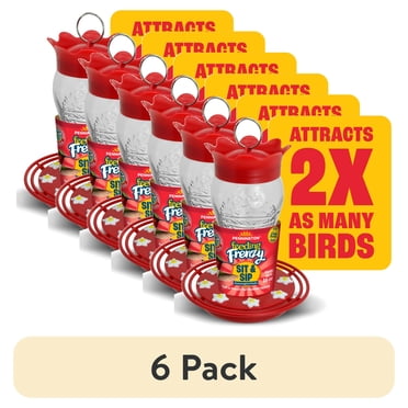 Pennington Red Glass Hummingbird Bird Feeder