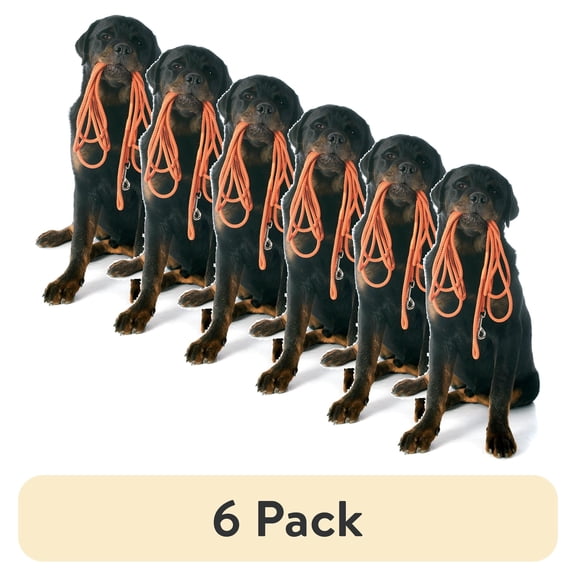 (6 pack) Pet Champion 14 Heavy Duty Steel Tie Out Stake for Large Dogs up to 100 lbs