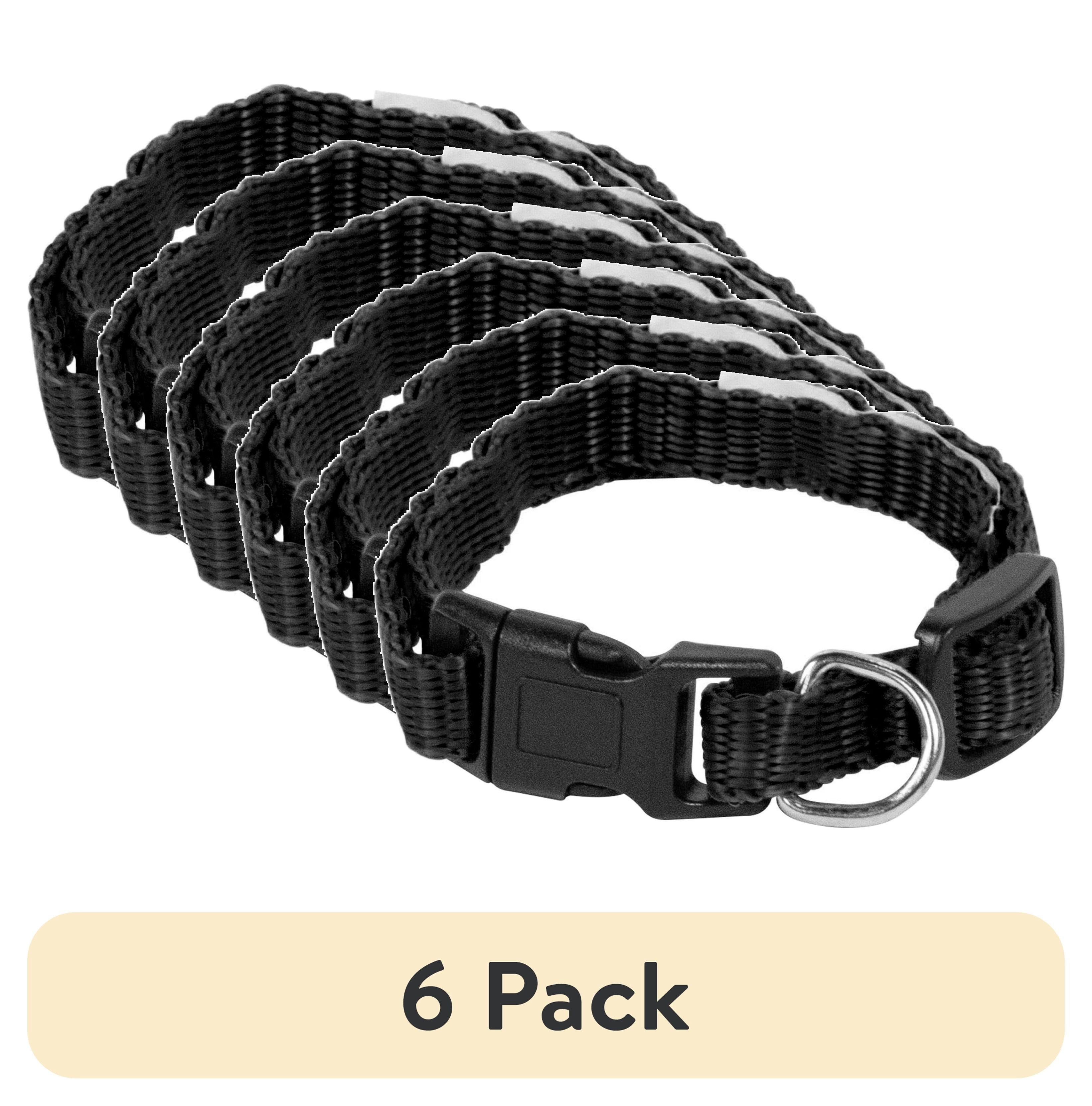 (6 pack) Pet Champion Dog Collar Small Black, 1.0 CT