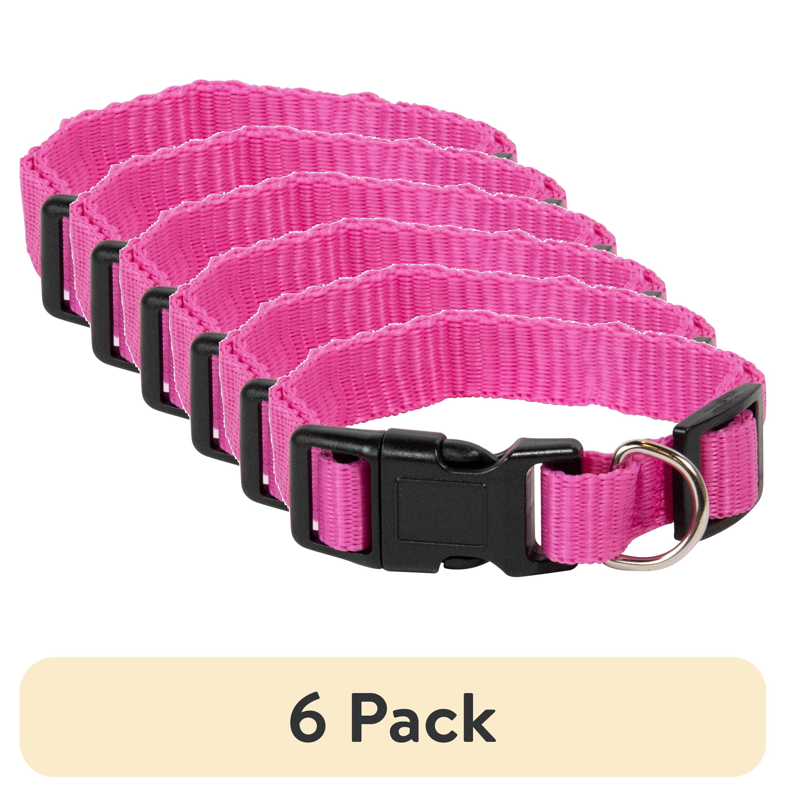(6 pack) Pet Champion Medium Pink Collar for Dogs