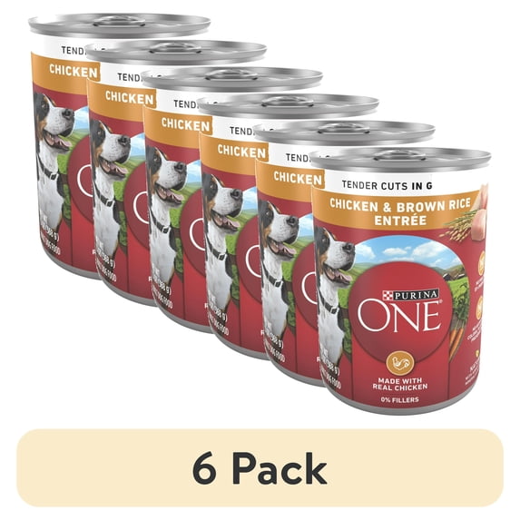 (6 pack) Puriina ONE Natural Wet Dog Food, High Protein Soft Chicken & Brown Rice, 13 oz Can