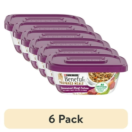 (6 pack) Purina Beneful Wet Dog Food Freshly Prepared Meals, Dog Food Fresh With Gravy