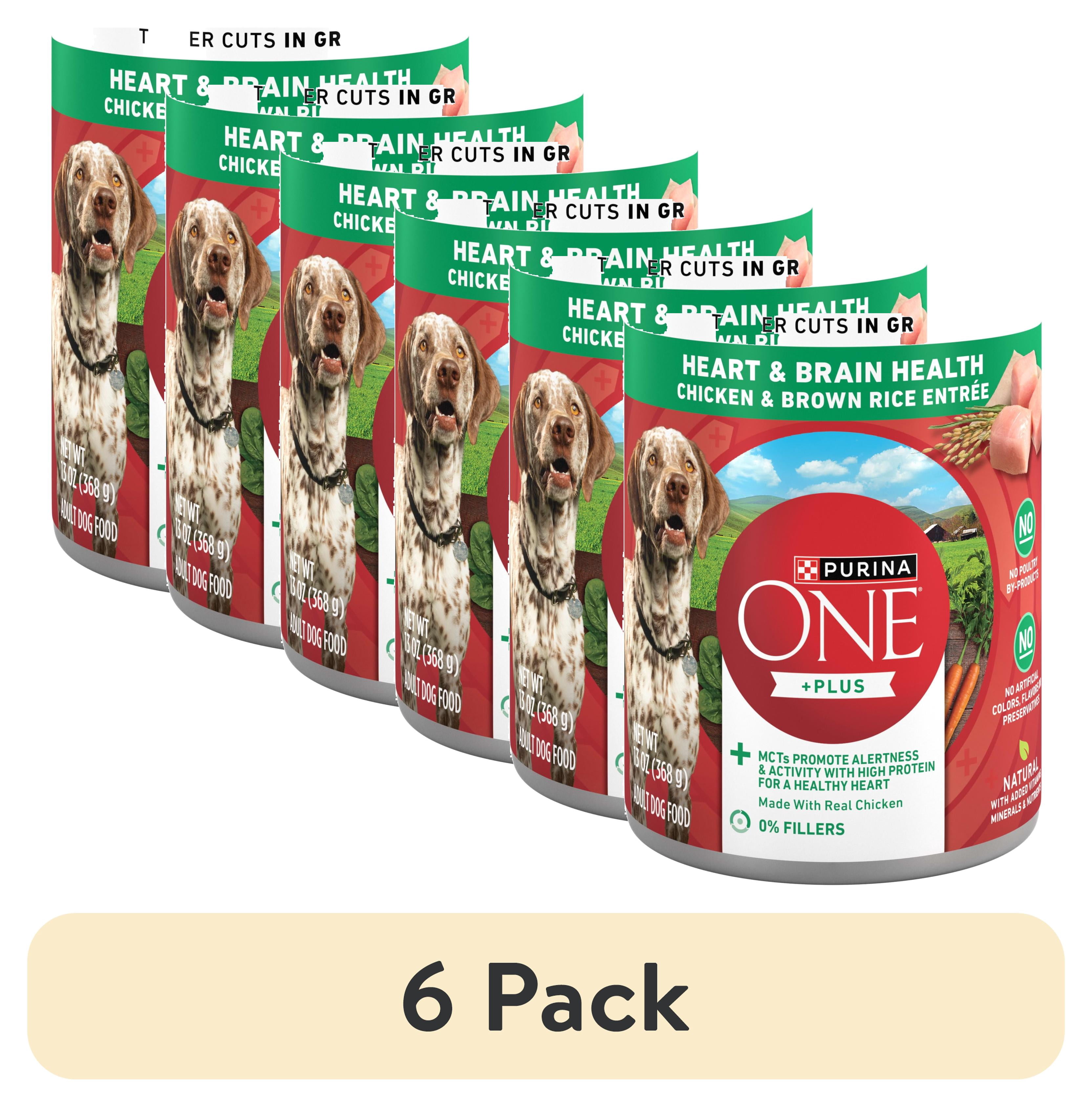 (6 pack) Purina ONE Plus Tender Cuts in Gravy Heart and Brain Chicken and Brown Rice Entree Natural with Added Vitamins and Minerals Wet Dog Food, 13 oz Can
