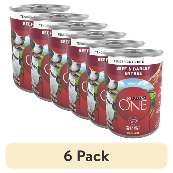 (6 pack) Purina ONE Natural Wet Dog Food, High Protein Soft Beef & Barley, 13 oz Can