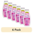 thumbnail image 1 of (6 pack) Vagisil Daily Intimate Deodorant Powder, with Odor Block Protection, Talc-Free, 8 oz, 1 of 8