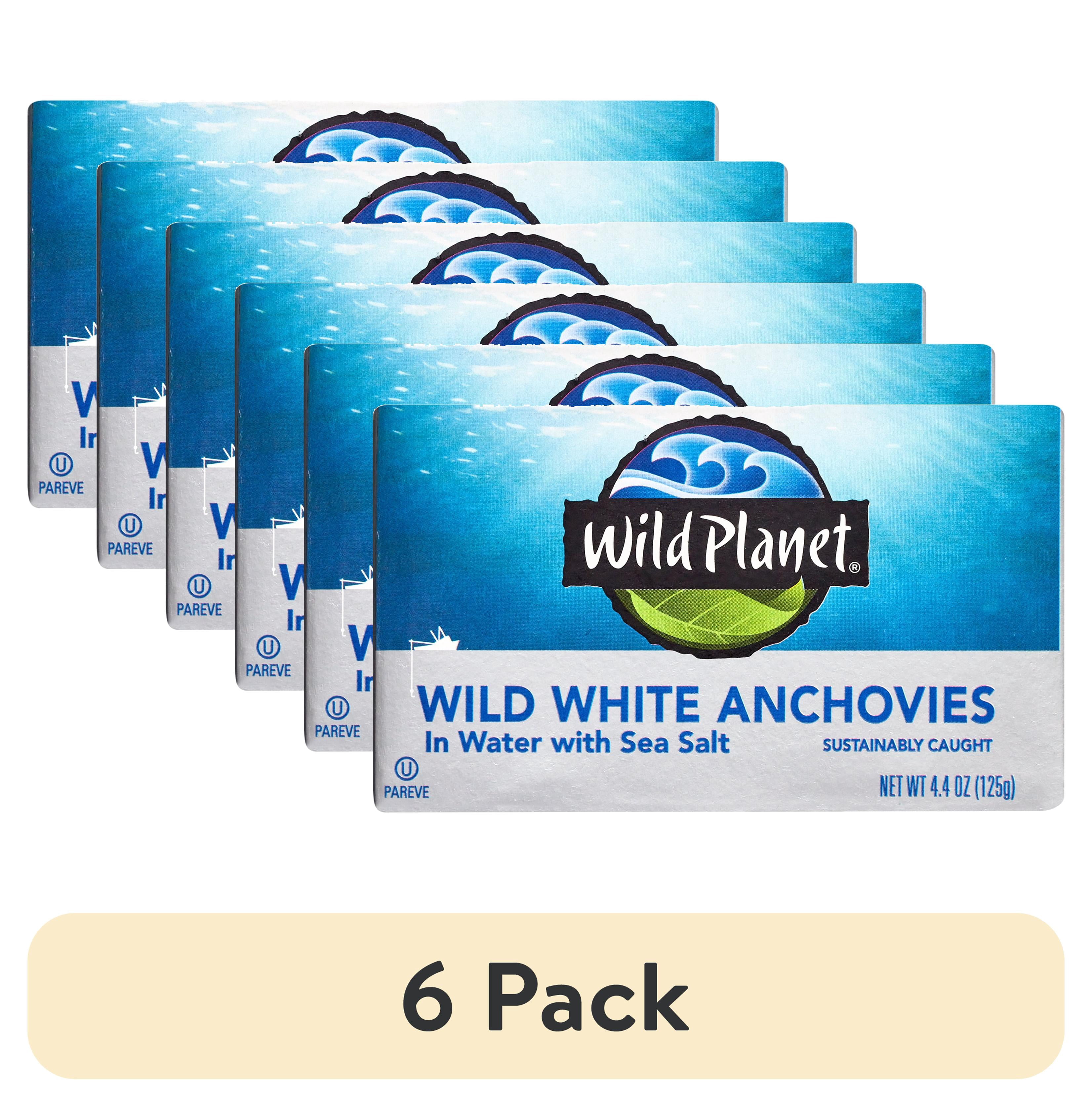 (6 pack) Wild Planet Wild Caught White Anchovies in Water with Sea Salt, 4.4 oz Can