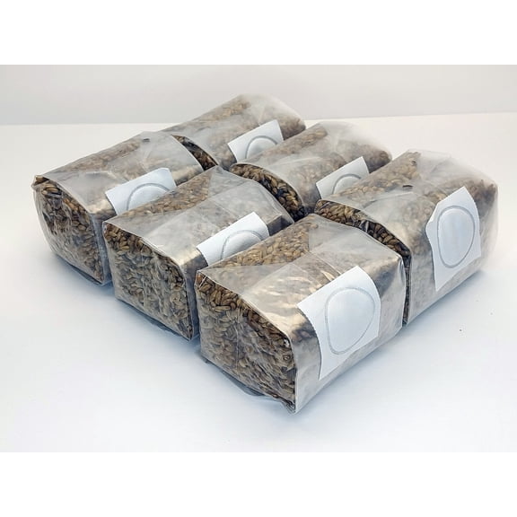 6 pack of 1 lb. Sterilized Rye Berries Mushroom Substrate Bags for Grain Spawn