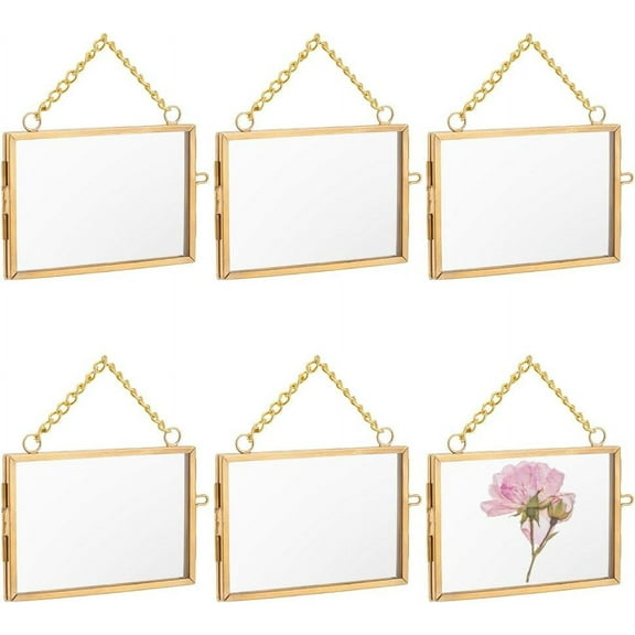 6 pc Brass Glass Hanging Photo Frame DIY Artwork Display Frame for Dried Plant Specimen Pressed Flowers Golden 115mm