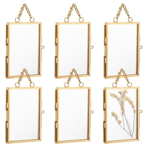 6 pc Brass Glass Hanging Photo Frame DIY Artwork Display Frame for Dried Plant Specimen Pressed Flowers Golden 130mm