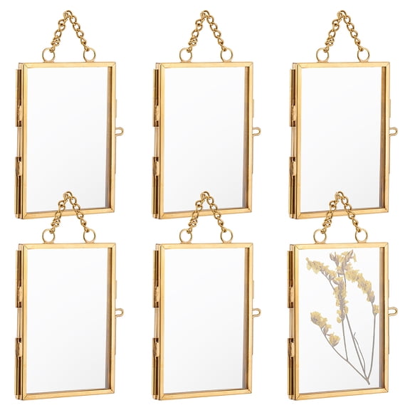6 pc Brass Glass Hanging Photo Frame DIY Artwork Display Frame for Dried Plant Specimen Pressed Flowers Golden 130mm