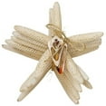 thumbnail image 1 of 6 pc Finger Starfish Bundle with Cut Shell White 4-6", 1 of 1