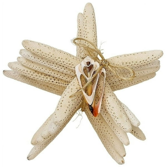 6 pc Finger Starfish Bundle with Cut Shell White 4-6"