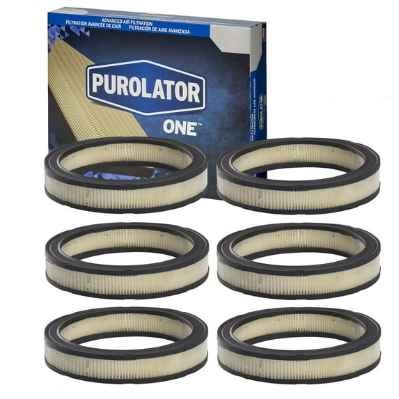 6 pc Purolator ONE A40124 Air Filters for 215 227 62077 Intake Inlet Manifold Fuel Delivery Filters