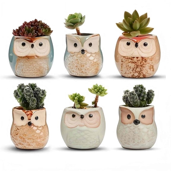 6-Piece Owl Plant Pots Set,Indoor Ceramic Flower Pot,2.4"&2.4" Inch Sized Planters for Plants, With Drainage Holes Ideal Gifts for Home, Office and Garden