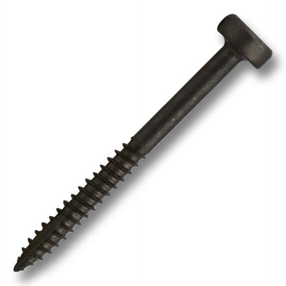 #6 x 1-1/2 in. Plain and Dry Lubed #2 Square Modified Pan Head Fine ...
