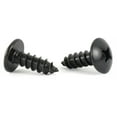 thumbnail image 1 of #6 x 1" Type A Self-Tapping Screws / Phillips / Truss Head / Steel / Black Oxide - 9000 Piece Carton, 1 of 1