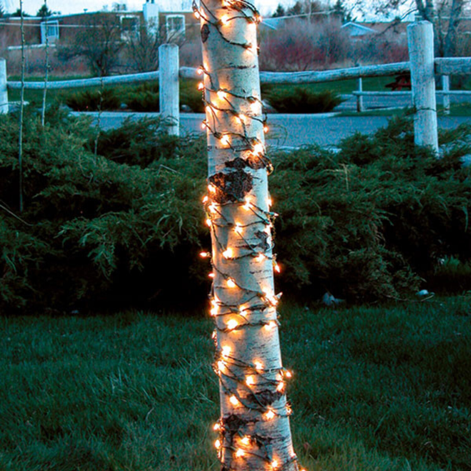 Northlight 6' Lighted Christmas Birch Twig Tree Outdoor Decoration - Warm  White LED Lights