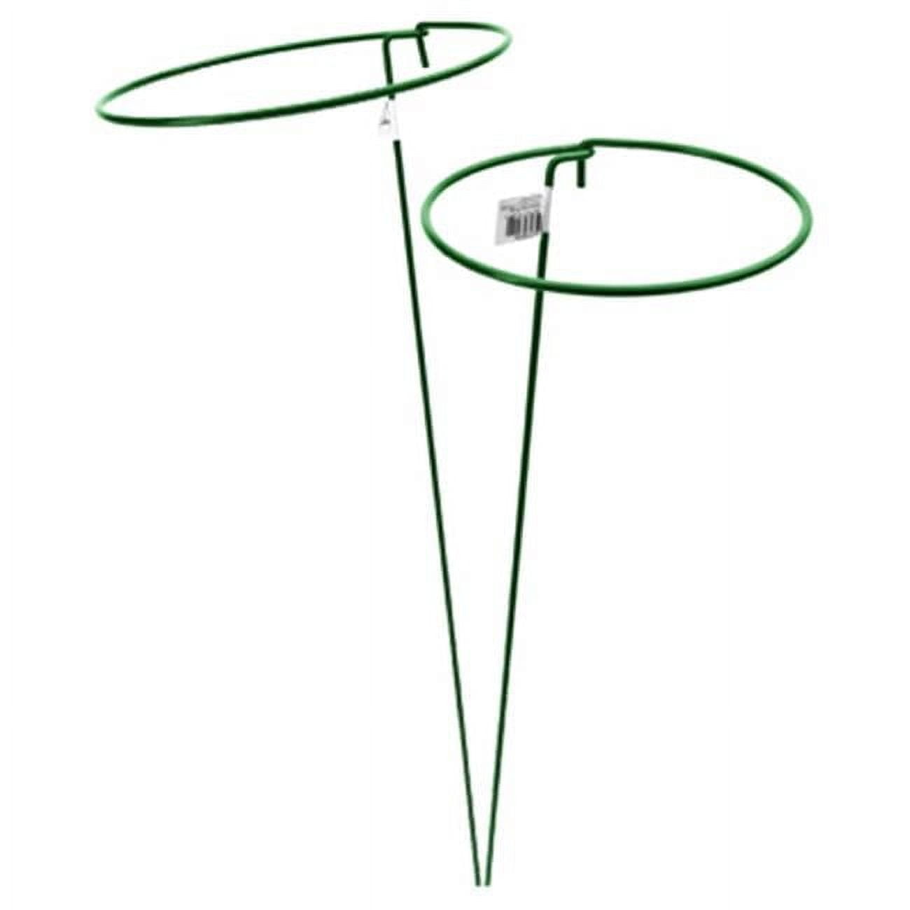 6 x 36 in. Gathering Ring Plant Support, Green Steel