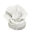 thumbnail image 1 of 6" x 4" White Polystone Small Textured Coral Sculpture with Clear Acrylic Base, by DecMode, 1 of 8