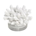 thumbnail image 1 of 6" x 4" White Polystone Small Textured Coral Sculpture with Clear Acrylic Base, by DecMode, 1 of 9
