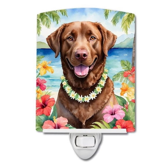 6 x 4 in. Chesapeake Bay Retriever Luau Ceramic Night Light