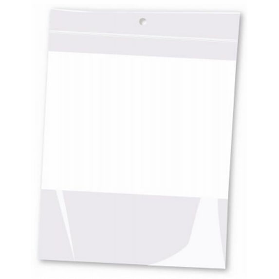 6 x 8 in. 2 Mil Zip Lock Type Plastic Bag with Hang Hole
