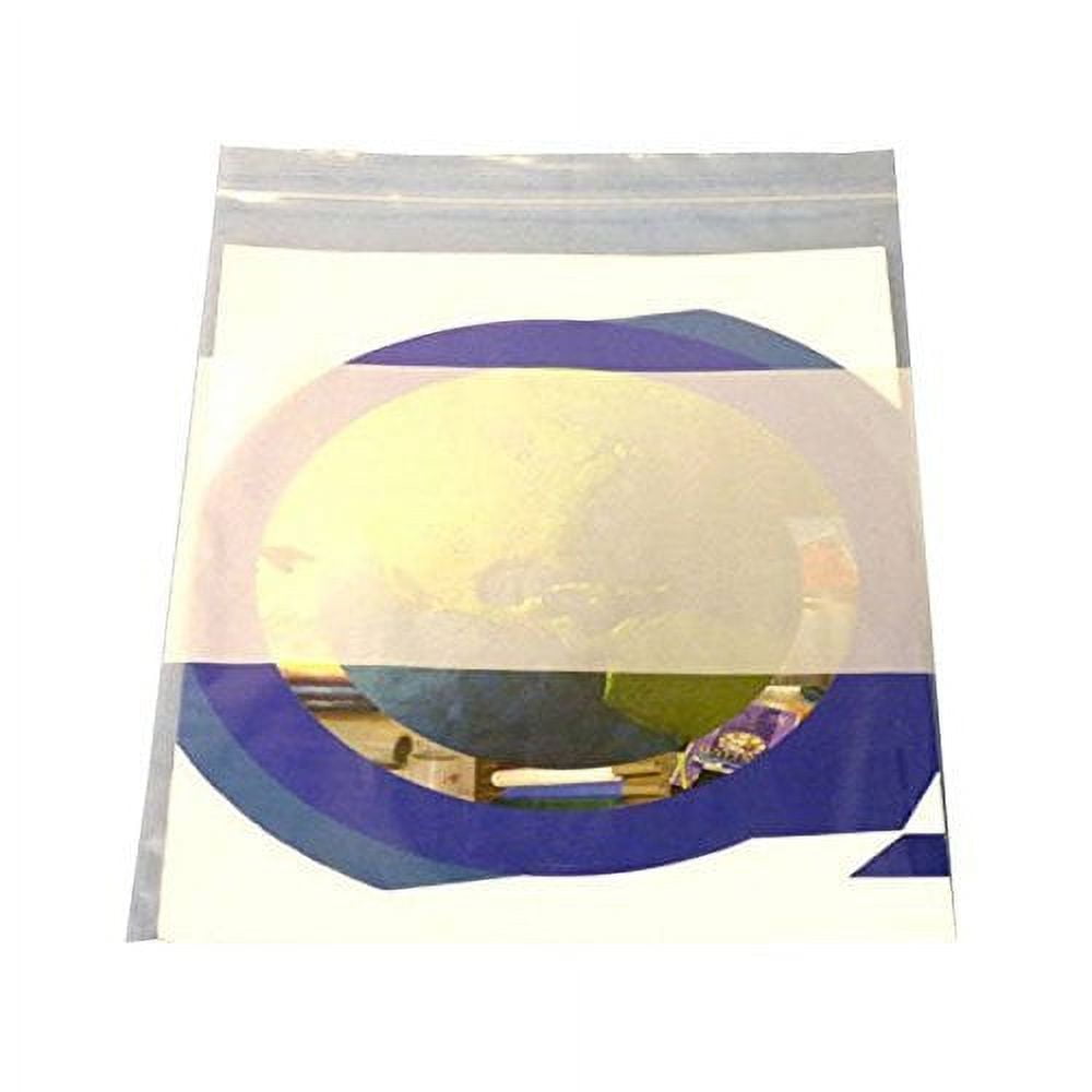6x9 Inch Reclosable Ziptop Bags - 2 Mil Thick, White Block Label Area, Pack Of 1000, Transparent