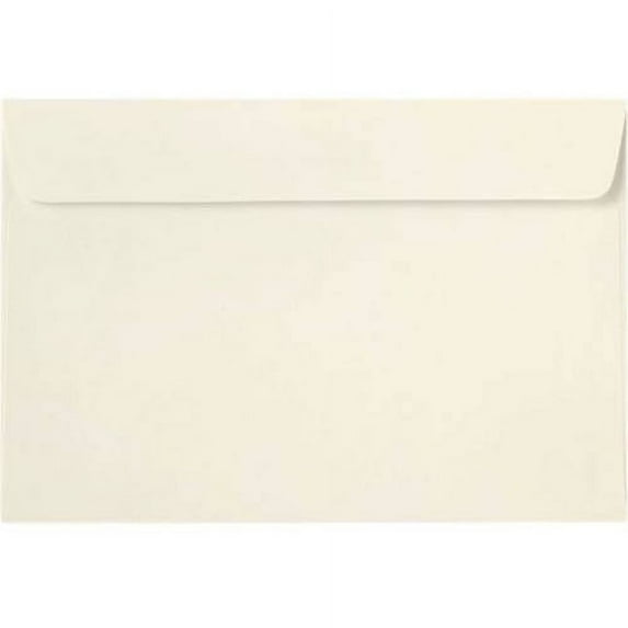 6 x 9 Booklet Envelopes - Natural (250 Qty.)