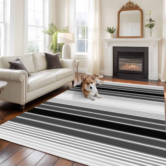 6'x9' Area Rugs, Black Ombre Striped Indoor Outdoor Area Rug for Living Room Bedroom, Modern Black Gray Vertical Stripes Washable Bathroom Rugs Kitchen Floor Carpet Mats Home Decor Aesthetic