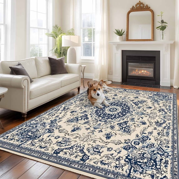 6'x9' Area Rugs, Blue Boho Indoor Outdoor Area Rug for Living Room Bedroom, Rustic Southwestern Ethnic Geometric Washable Bathroom Rugs Kitchen Floor Carpet Mats Home Decor Aesthetic