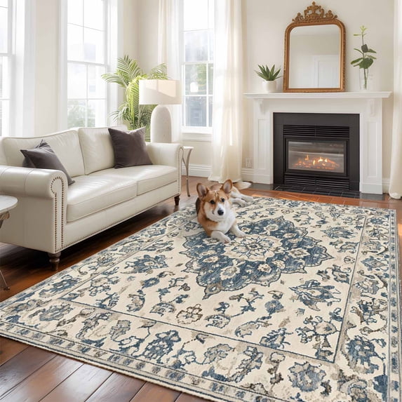 6'x9' Area Rugs, Blue Boho Indoor Outdoor Area Rug for Living Room Bedroom, Vintage Southwestern Ethnic Geometric Washable Bathroom Rugs Kitchen Floor Carpet Mats Home Decor Aesthetic