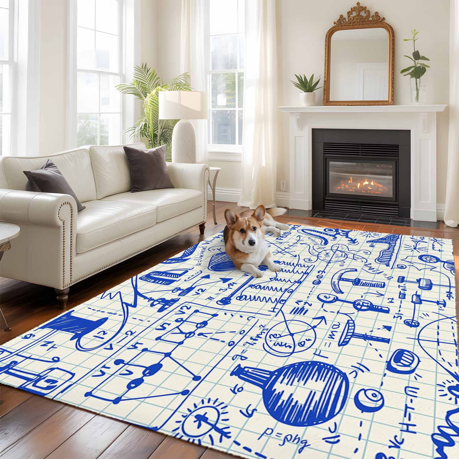 A Science Lab Rug 6'x9' Area Rugs, Blue Physics Indoor Outdoor Area Rug for Living Room ...