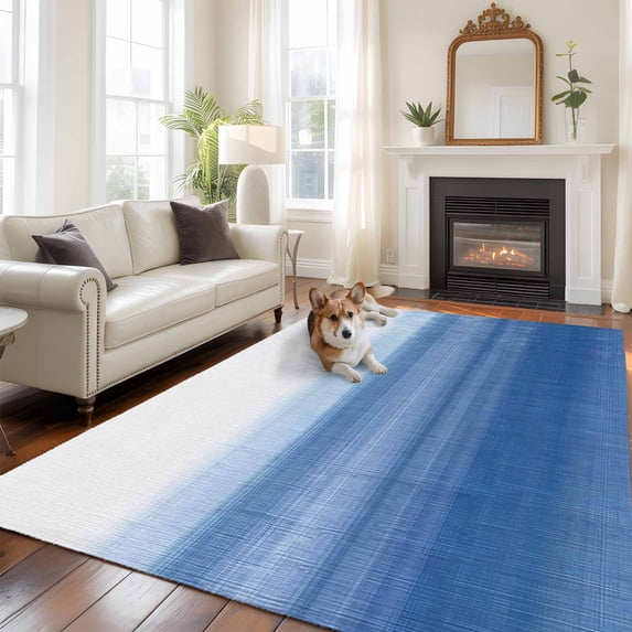 6'x9' Area Rugs, Blue White Ombre Indoor Outdoor Area Rug for Living Room Bedroom, Modern Abstract Striped Lines Art Washable Bathroom Rugs Kitchen Floor Carpet Mats Home Decor Aesthetic