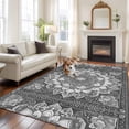 thumbnail image 1 of 6'x9' Area Rugs, Grey Boho Indoor Outdoor Area Rug for Living Room Bedroom, Abstract Floral Southwestern Ethnic Tribal Washable Bathroom Rugs Kitchen Floor Carpet Mats Home Decor Aesthetic, 1 of 8
