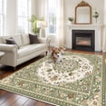 thumbnail image 1 of 6'x9' Area Rugs, Sage Green Indoor Outdoor Area Rug for Living Room Bedroom, Southwest Tribal Antique Boho-Chic Country Washable Bathroom Rugs Kitchen Floor Carpet Mats Home Decor Aesthetic, 1 of 8