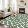 thumbnail image 1 of 6'x9' Area Rugs, Sage Green Morocco Indoor Outdoor Area Rug for Living Room Bedroom, Minimalist Boho Ethnic Abstract Motif Washable Bathroom Rugs Kitchen Floor Carpet Mats Home Decor Aesthetic, 1 of 8