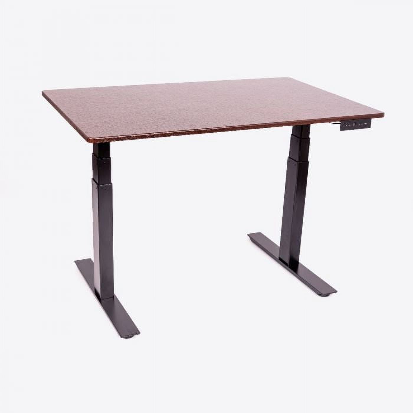 Luxor 60" Dual-Motor Electric Height Adjustable Desk in Dark Walnut