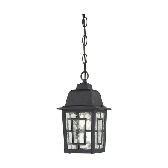 Nuvo Lighting 60/4933 Banyon Single-Light Hanging Lantern with Clear Water Glass