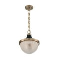 thumbnail image 1 of 60/7060-Nuvo Lighting-Faro-1 Light Large Pendant in Transitional Style-12.63 Inches Wide by 14.13 Inches High-Burnished Brass/Black Finish, 1 of 5