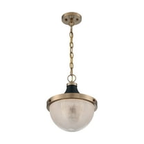 60/7060-Nuvo Lighting-Faro-1 Light Large Pendant in Transitional Style-12.63 Inches Wide by 14.13 Inches High-Burnished Brass/Black Finish