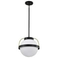 thumbnail image 1 of 60/7775-Nuvo Lighting-Lakeshore - 1 Light Large Pendant-14.88 Inches Tall and 18 Inches Wide-Matte Black Finish    -Traditional Installation, 1 of 16