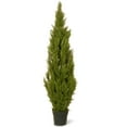 thumbnail image 1 of National Tree Company 5 ft Artificial Arborvitae Topiary Tree, Realistic Fake Tree Potted Plant, Dark Green Round Growers Pot, 1 of 3