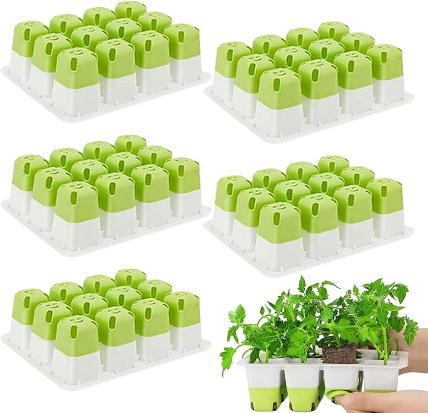 60 Cells Seed Starter Kit, Silicone Seedling Trays with Pop-Out Cells, Reusable Germination Trays for Indoor Gardening, 5 Pack x 12 Cells